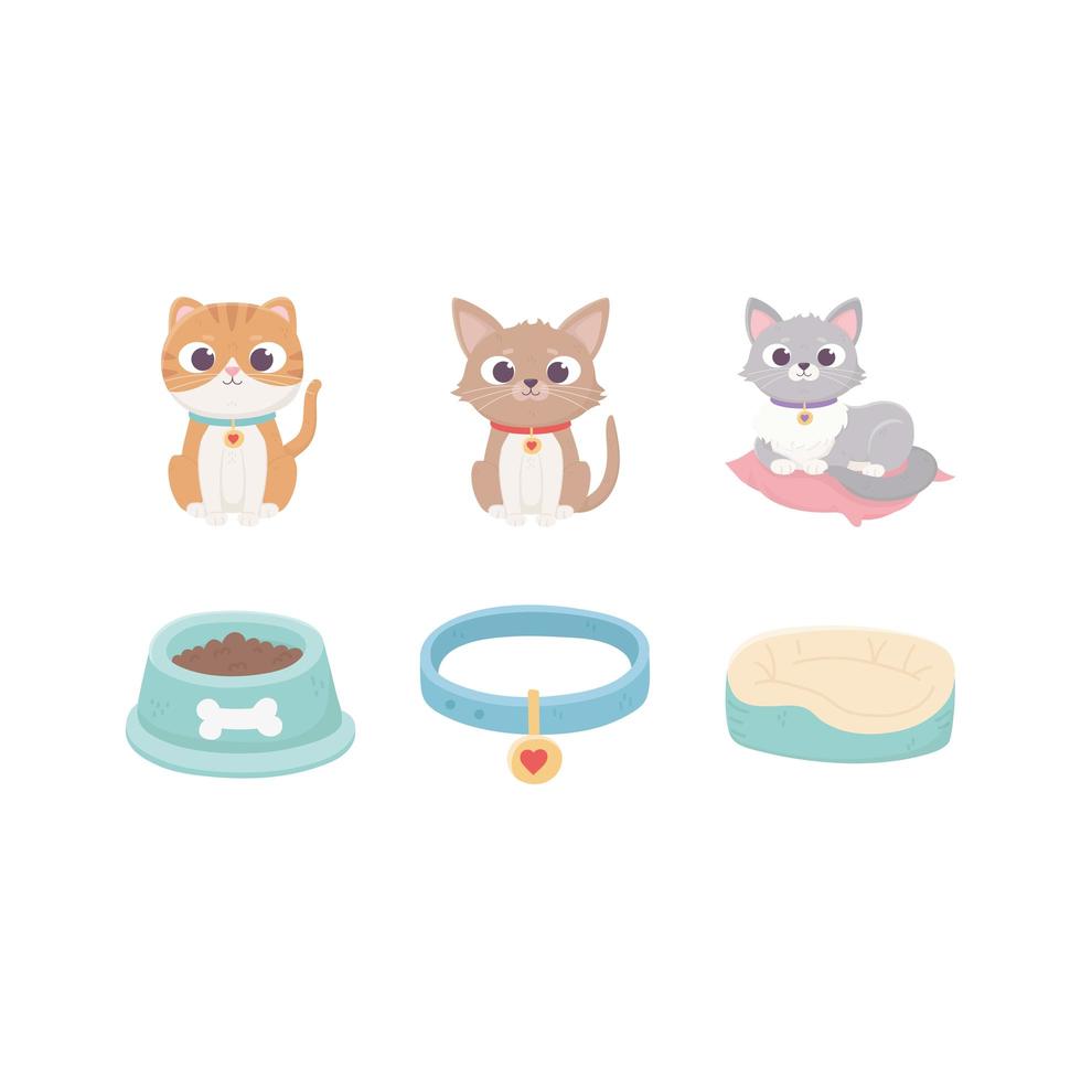 gatos com coleira almofada tigela de comida, animais de estimação vetor