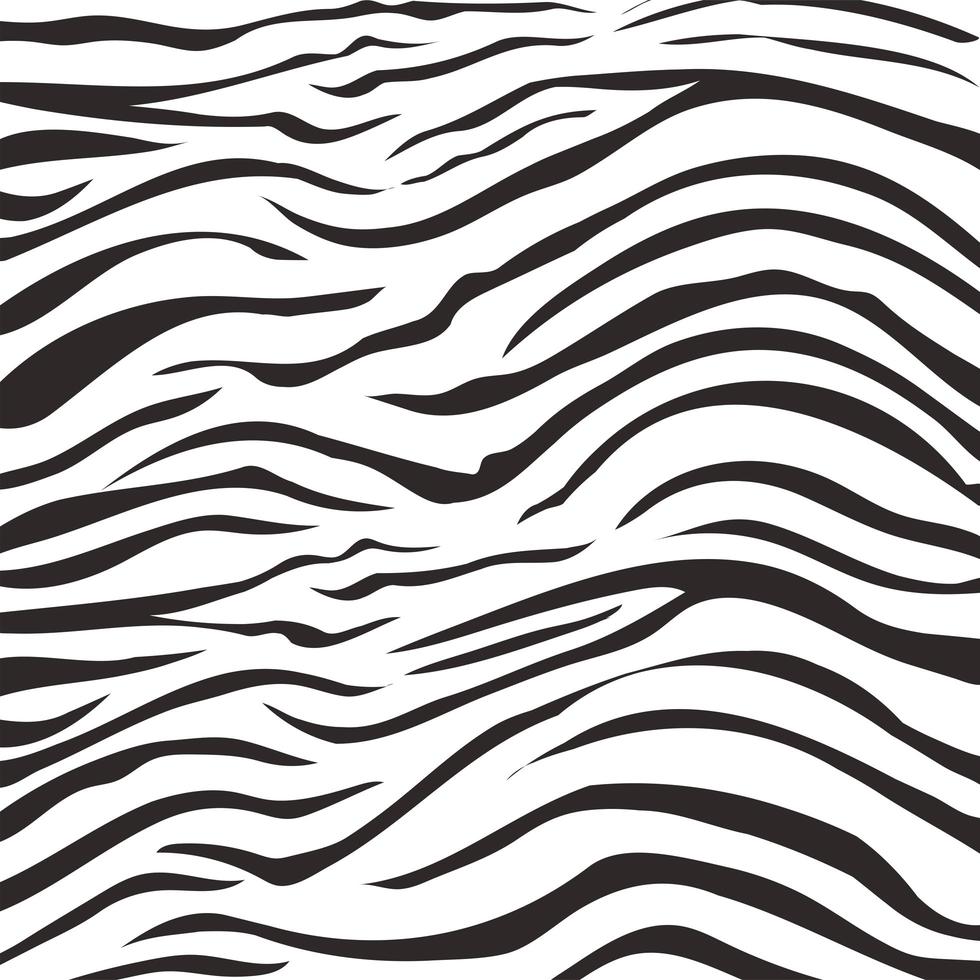 padrão de impressão de pele de animal, design de selva selvagem de pele de zebra vetor