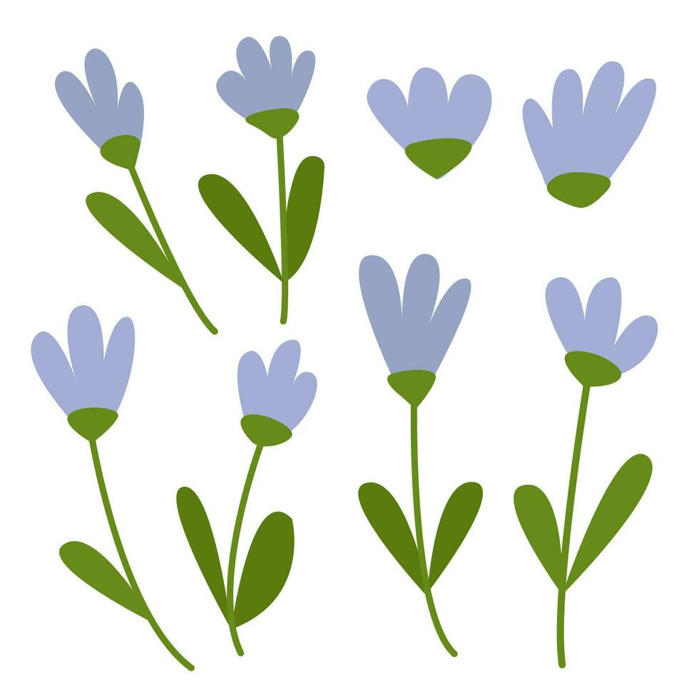 fofa pequeno azul flores definir. vetor centáurea simples estilo grande conjunto