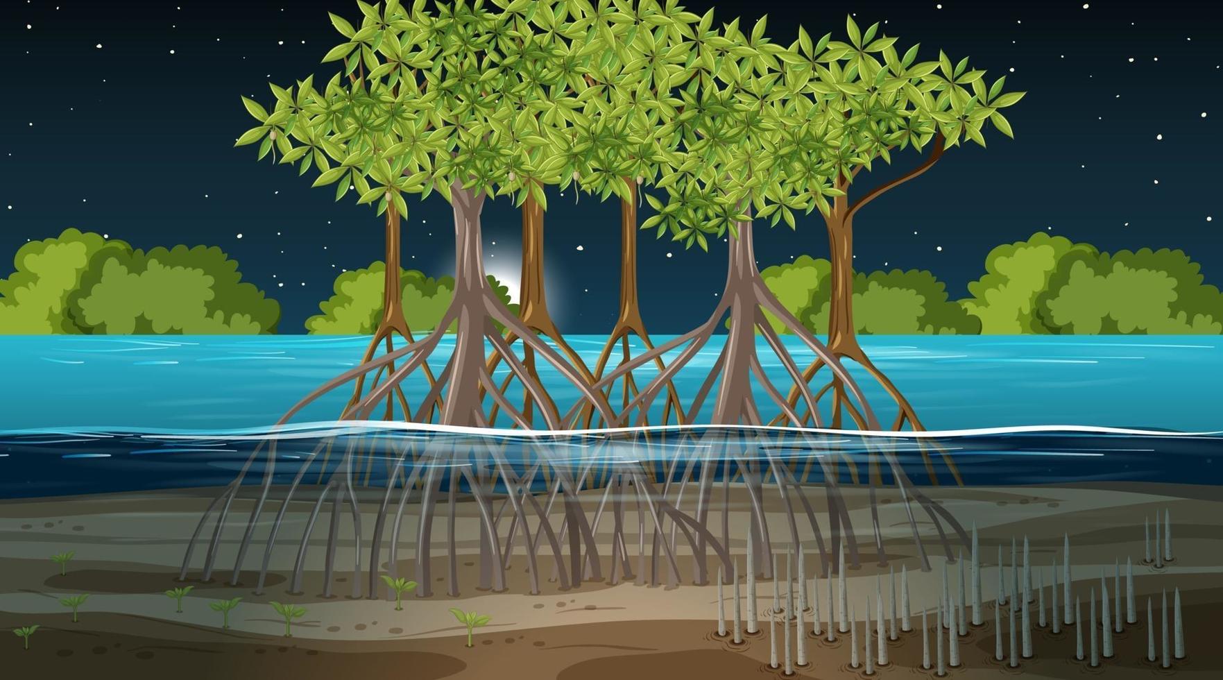cena de paisagem de floresta de mangue à noite vetor