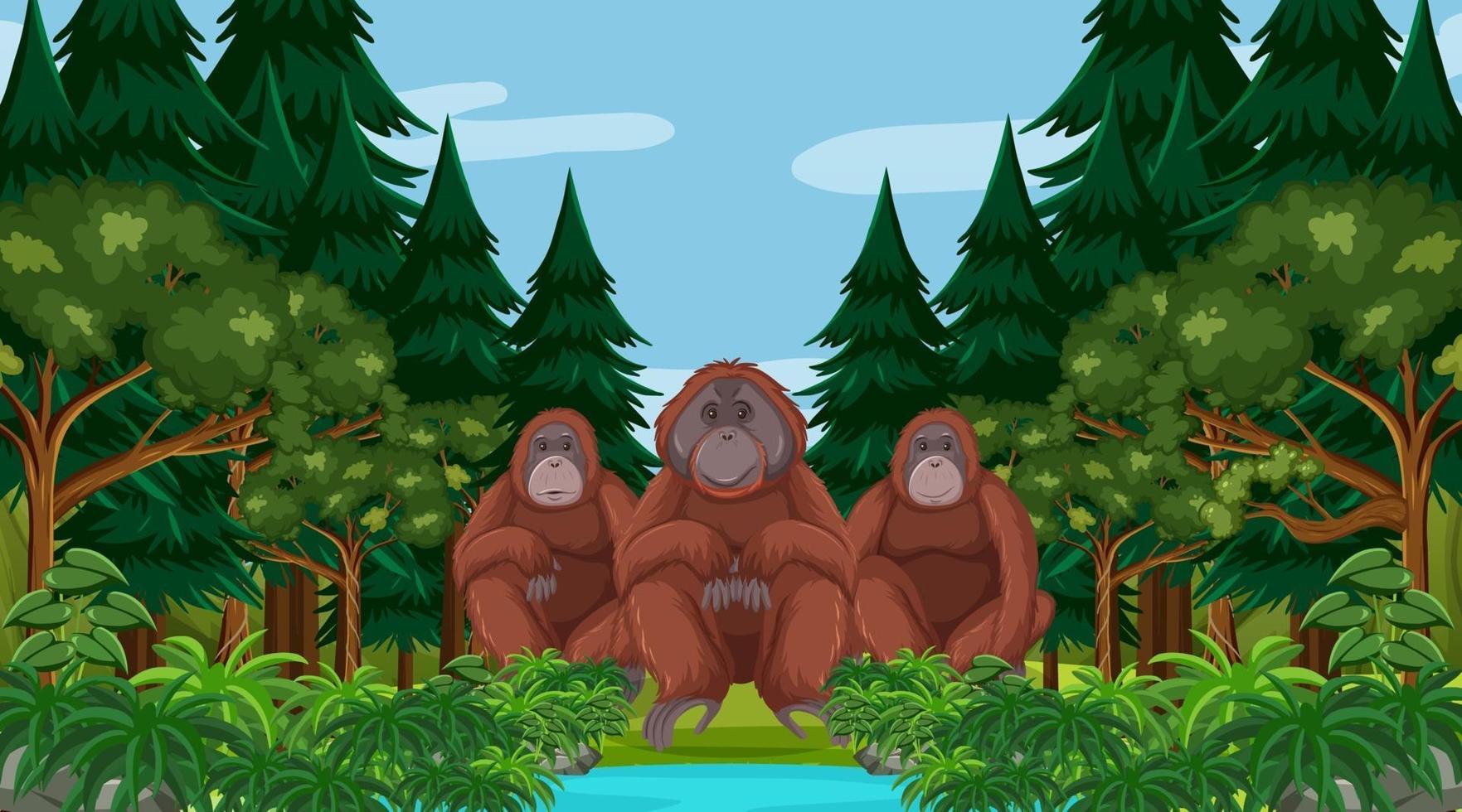orangotango na floresta ou cena da floresta tropical com muitas árvores vetor