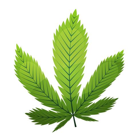 Folha de cannabis vetor