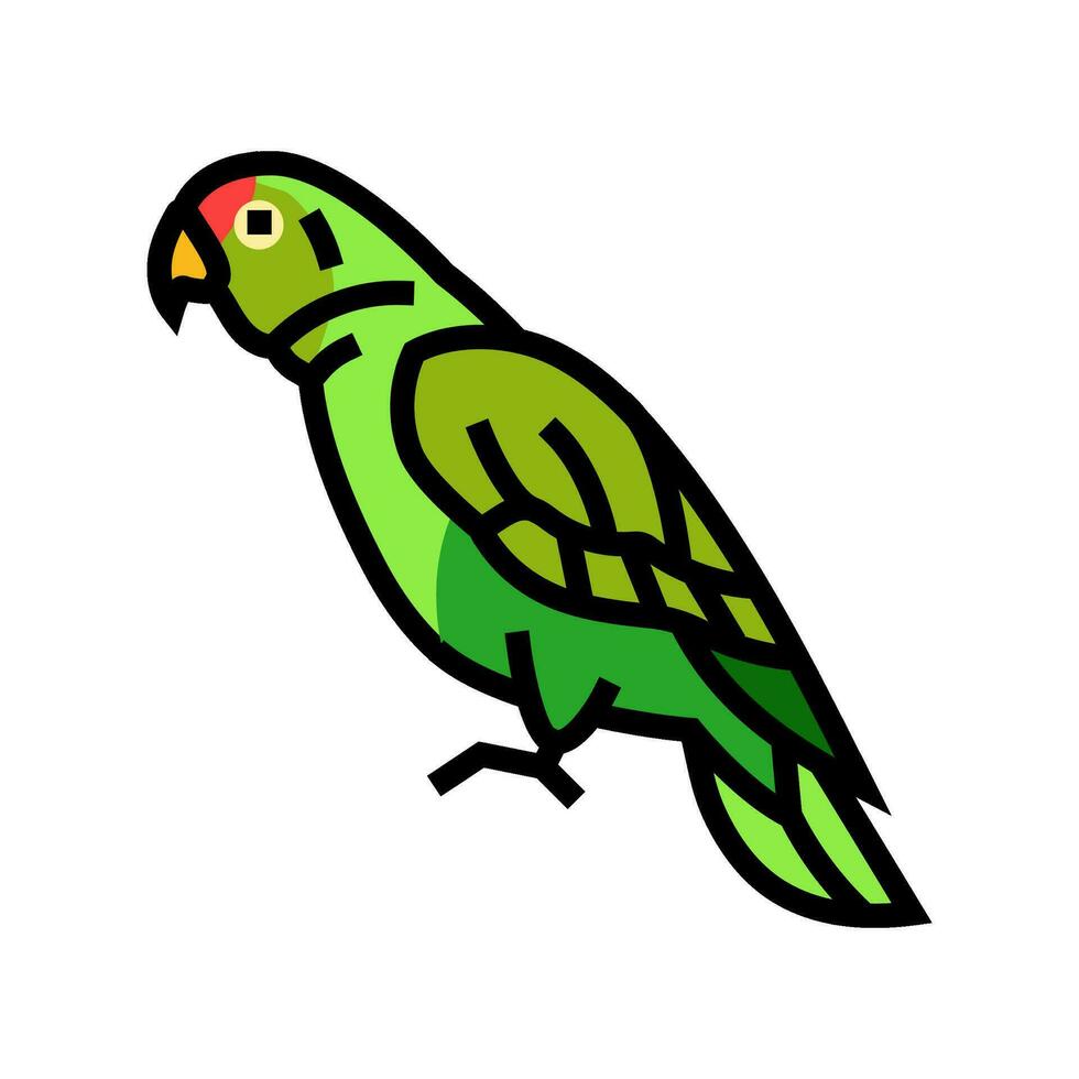 Amazonas papagaio pássaro cor ícone vetor ilustração