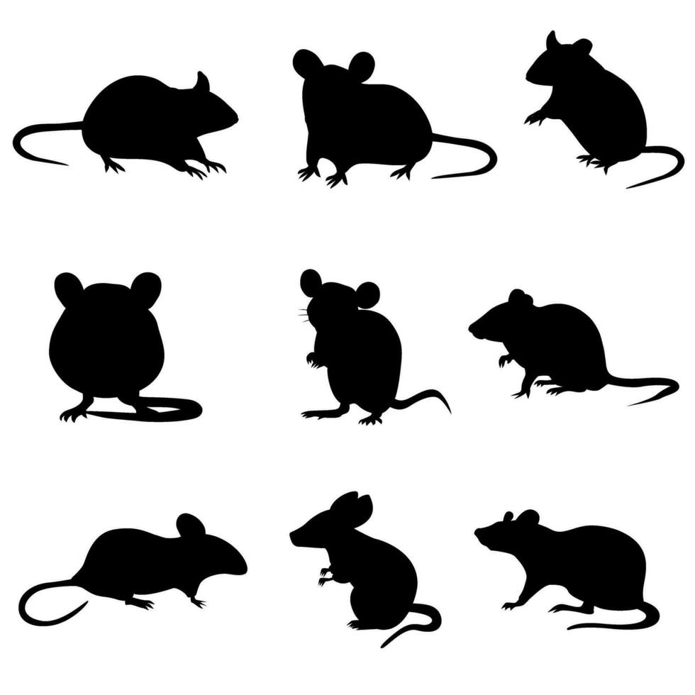 rato ícone vetor definir. rato ilustração placa coleção. jerboa símbolo ou logotipo.