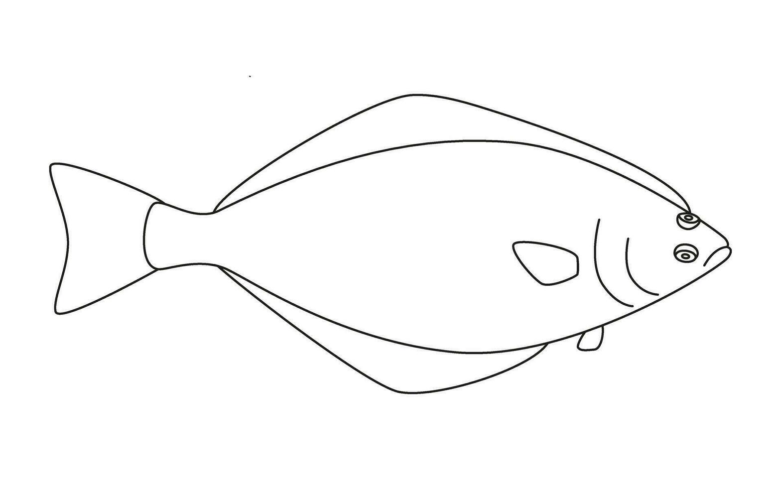 Desenho de Linguado-de-água-doce (Achirus Lineatus) para colorir