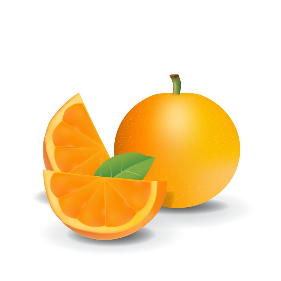 ilustração em vetor laranja saudável fruta fresca verão isolado