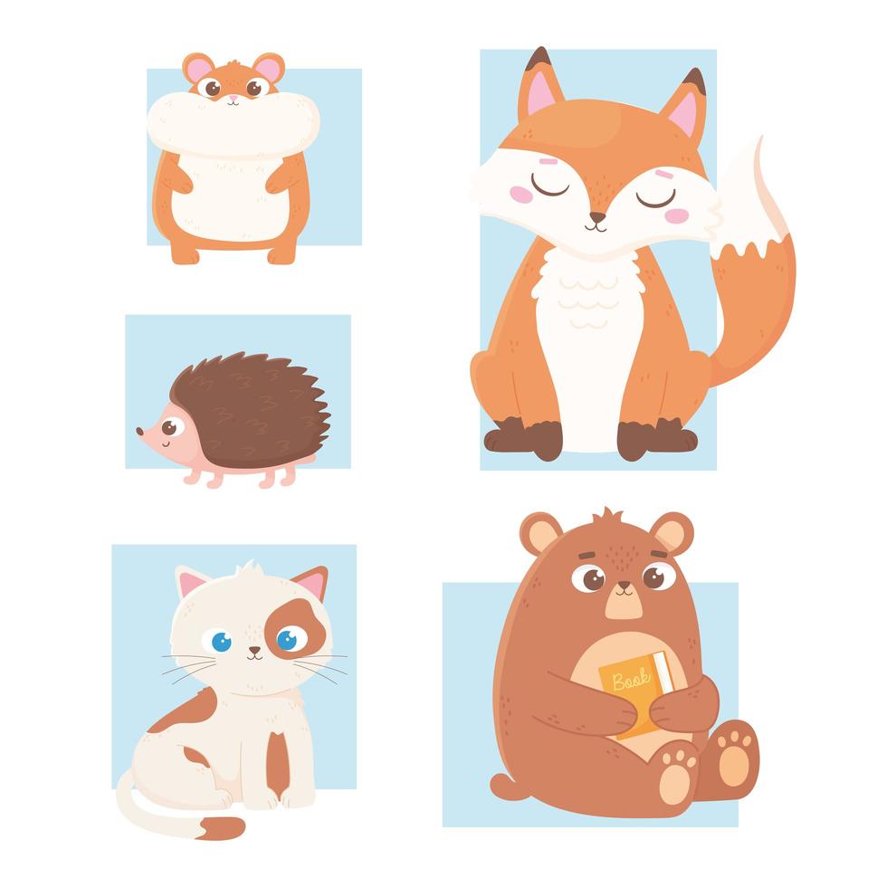 animais fofos carregam com ícones livro hamster raposa gato e ouriço vetor