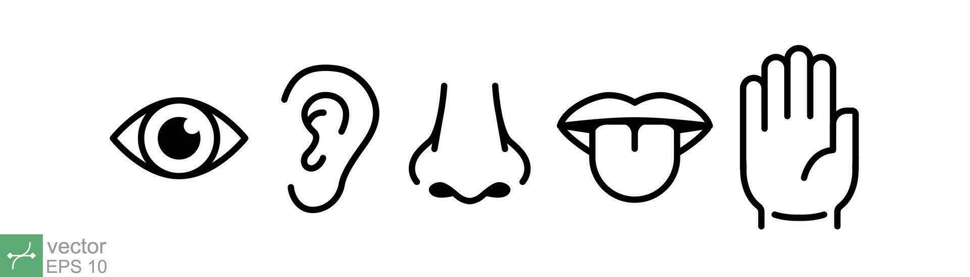 cinco sentidos do humano nervoso sistema símbolo. simples linha, esboço estilo. olho, ver, orelha, nariz, cheiro, boca, língua, gosto, sensorial órgão. vetor ilustração isolado em branco fundo. eps 10.