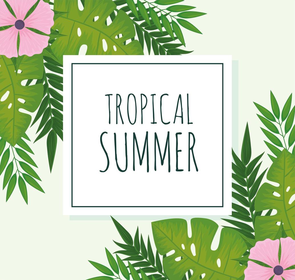 etiqueta de verão tropical vetor