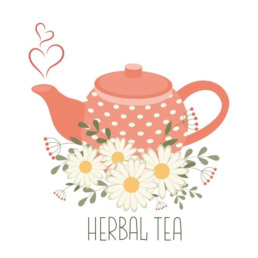ervas medicinal chá, saudável bebida. chaleira e copo com ervas chá e camomila flores ilustração, vetor