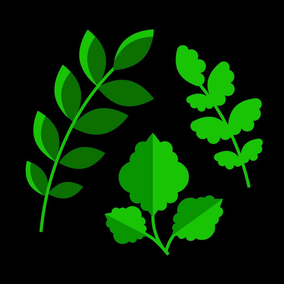 conjunto do verde folhas mexicano bordado vetor