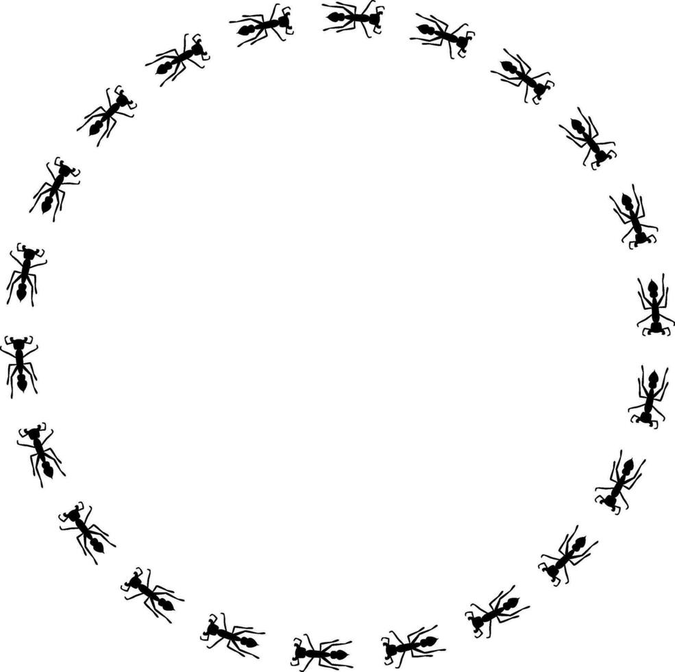 formiga silhuetas trilha ilustração dentro forma do círculo vetor