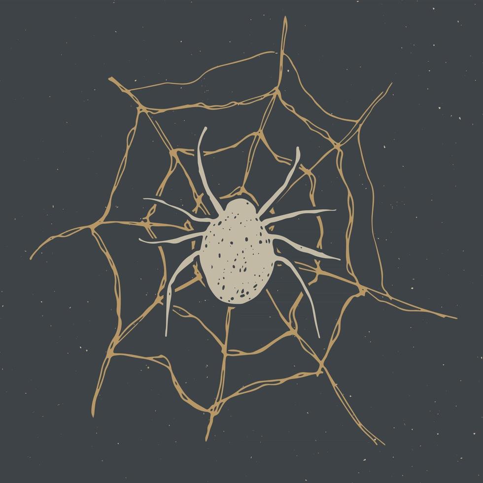 rótulo vintage spider e web, esboço desenhado à mão cartão de saudação de halloween, distintivo retro texturizado grunge, impressão de t-shirt de design tipográfico, ilustração vetorial vetor