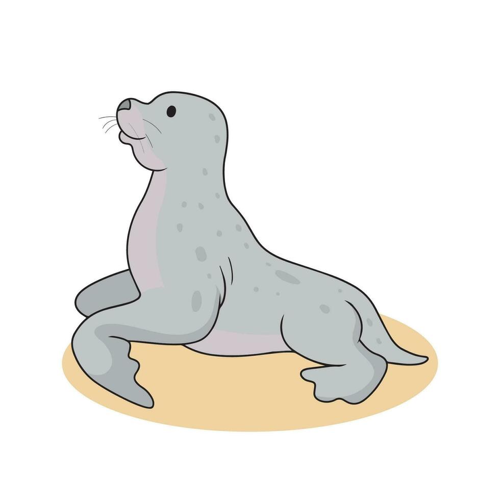 foca animal vetor ilustração