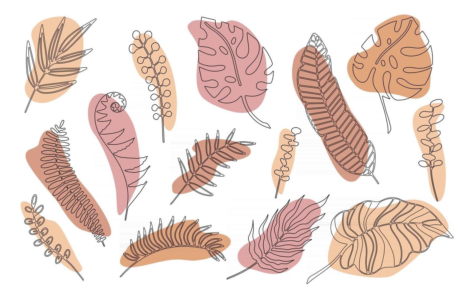 mão desenhada ramos conjunto de folhas de plantas tropicais com forma de cor isolada no fundo branco. delinear ilustração em vetor doodle. design para padrão, logotipo, cartazes, convite, cartão de felicitações