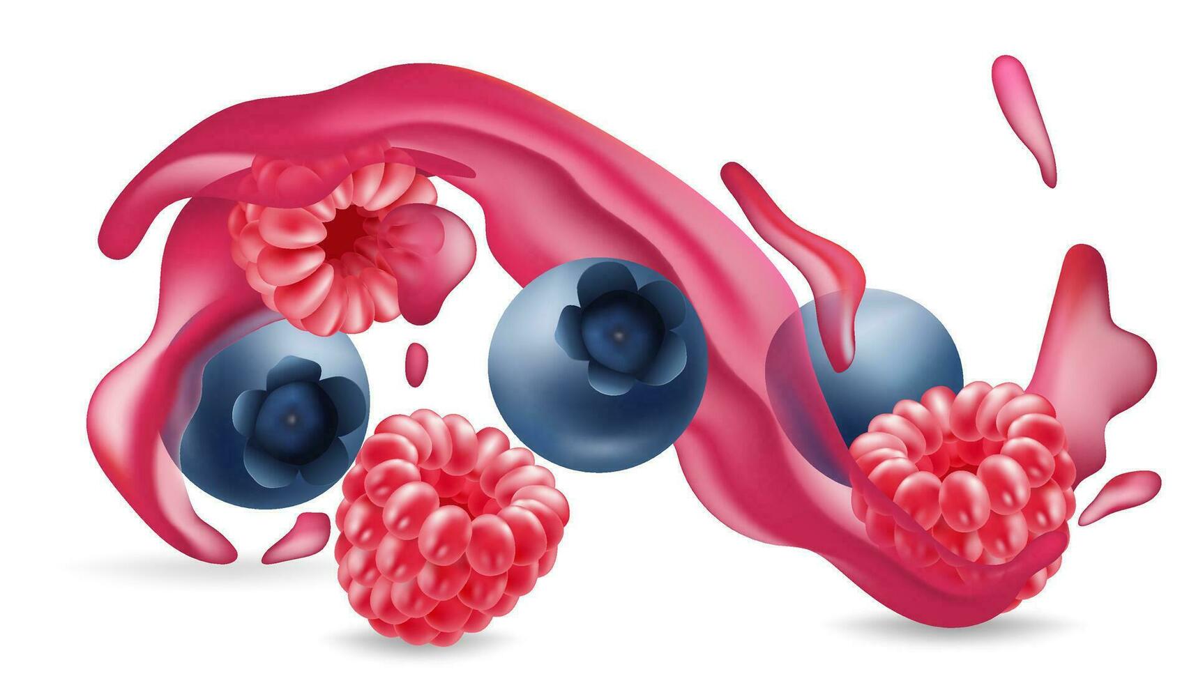 realista suculento mirtilo e framboesa splash. fresco fruta bebida. saudável e saboroso bebida. vetor ilustração para publicidade e Projeto. suculento e doce bagas estão uma ótimo fonte do vitaminas