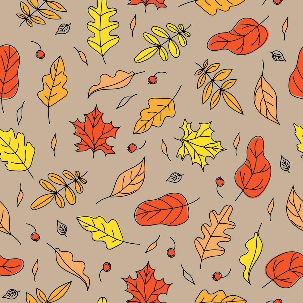 outono folhas. padronizar outono, natural desatado fundo com folhas. colheita celebração. folhagem. rabisco estilo desenhos. cor vetor ilustração. branco isolado fundo.