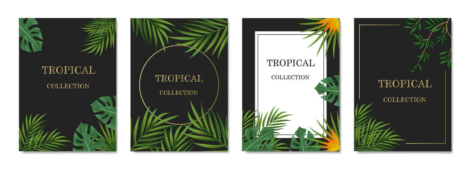 vetor faixas com verde tropical folhas, selva. exótico botânico adequado para cartazes, cumprimento cartões, faixas ou, convites em uma Preto fundo