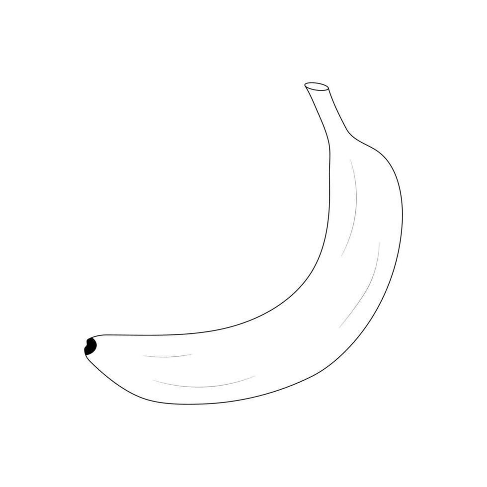 banana frutas coloração página vetor linha arte ilustração