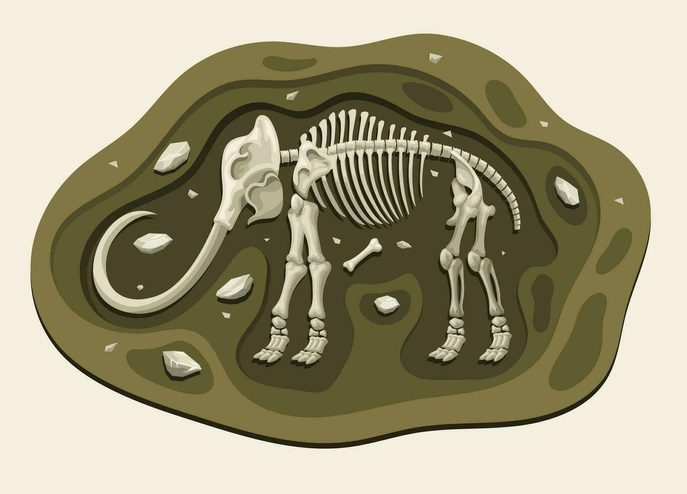 mamute dinossauros arqueologia fóssil desenho animado descobrir dentro a terra vetor