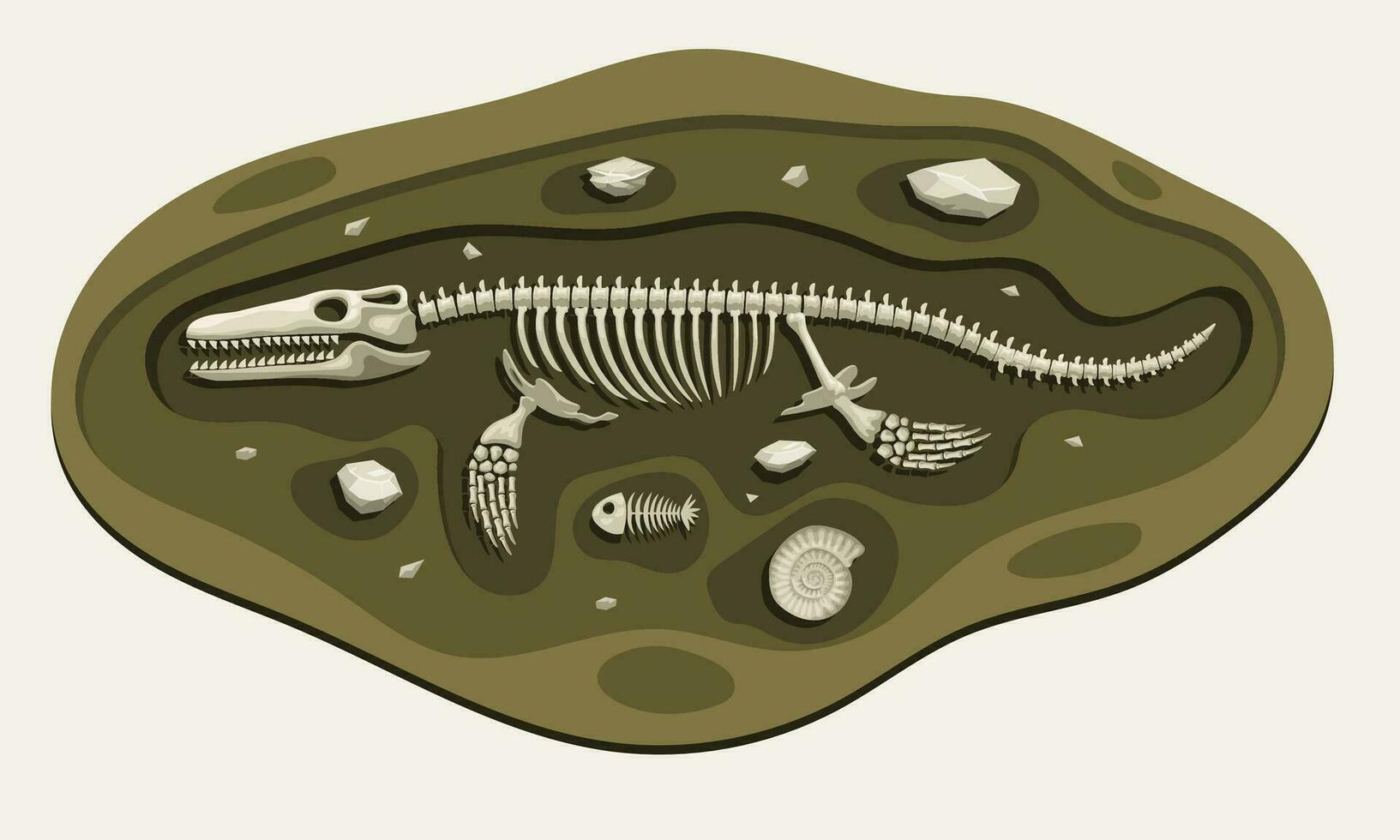 mosassauro dinossauros arqueologia fóssil desenho animado descobrir dentro a terra vetor