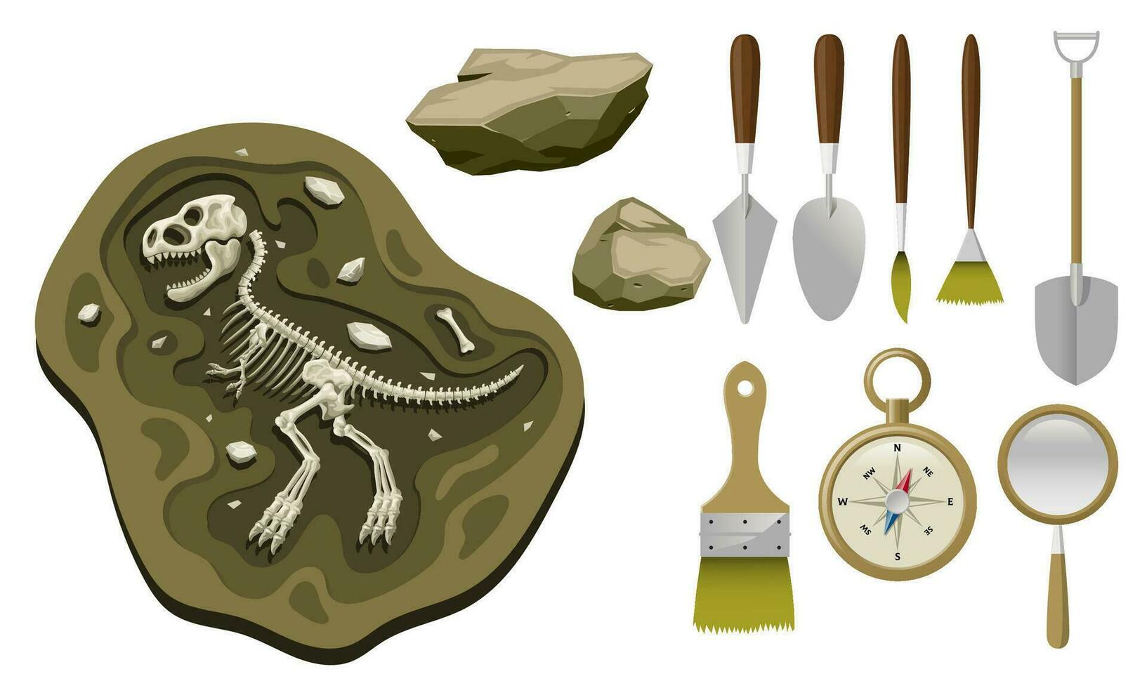 conjunto do paleontologia Ferramentas objetos desenho animado vetor