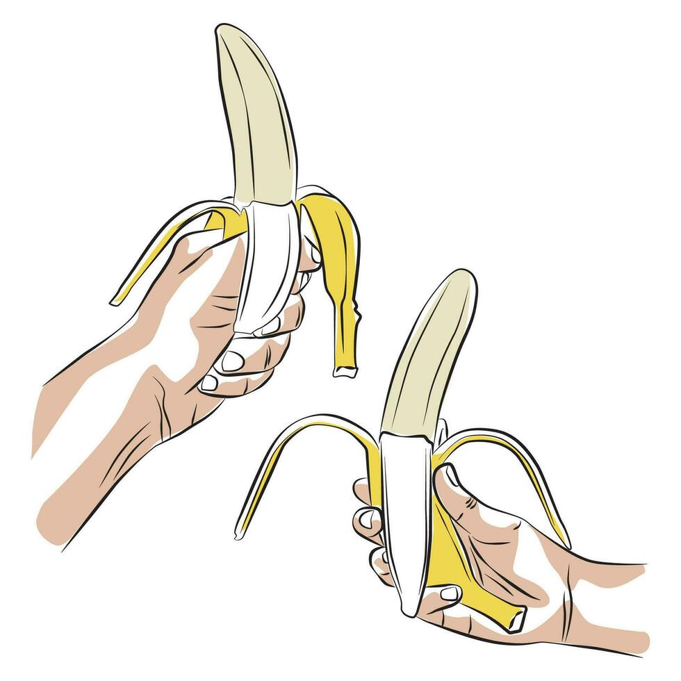 mão segurando banana - vetor ilustrações