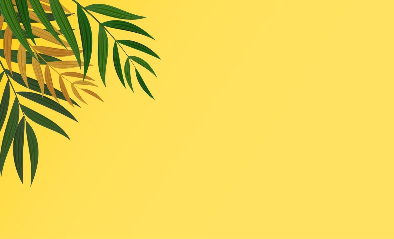 fundo tropical em folha de palmeira verde realista abstrato. ilustração vetorial eps10 vetor