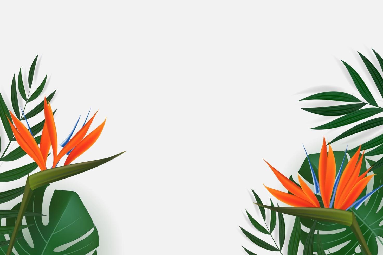 folha de palmeira verde realista natural com fundo tropical de flor de strelitzia. ilustração vetorial eps10 vetor