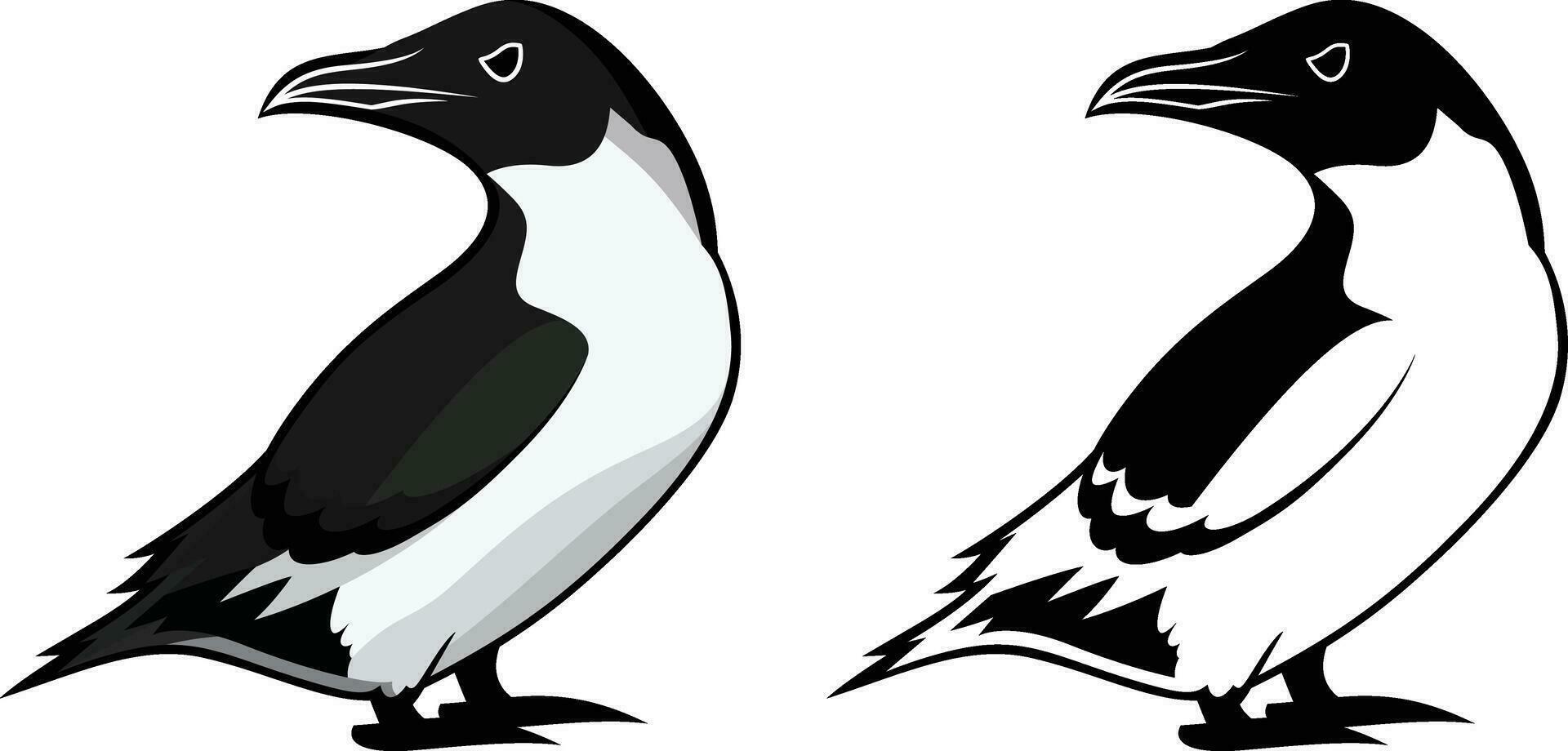 razorbill pássaro simples estilo grampo arte vetor ilustração, Ave marinha alca tordo estoque vetor imagem