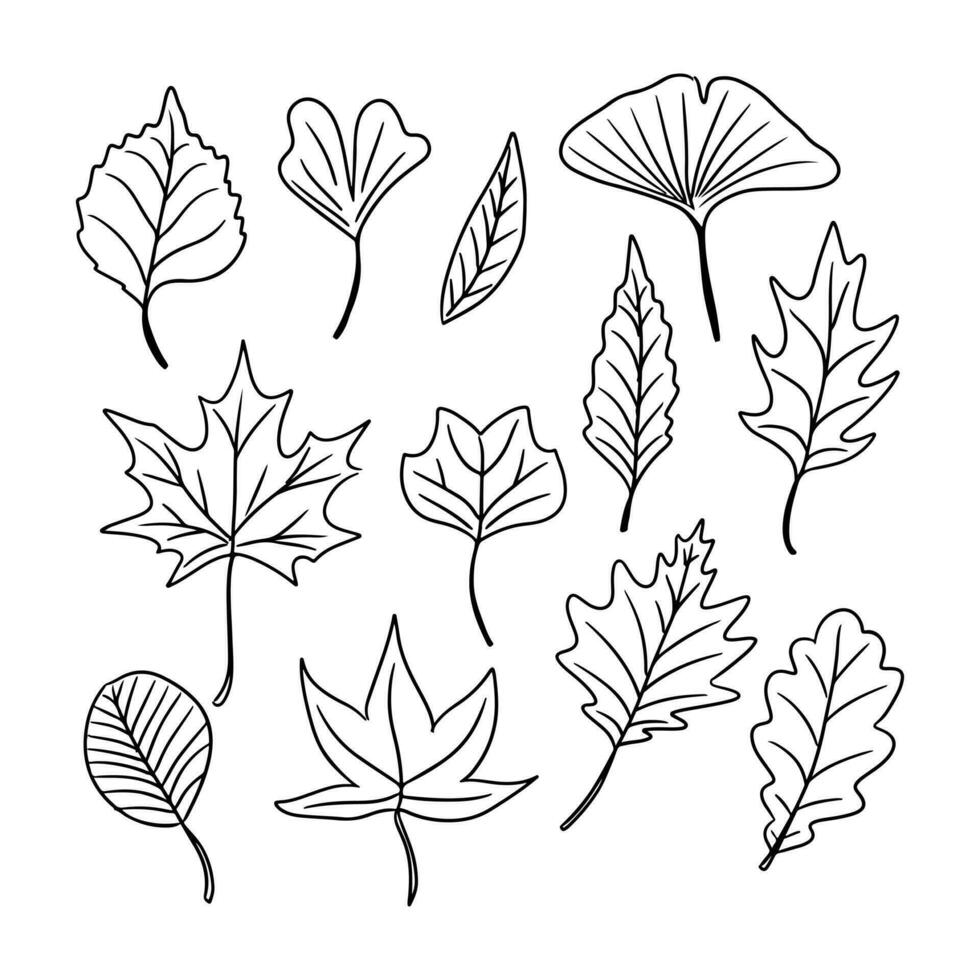 conjunto do mão desenhado esboço outono folhas rabiscos. Preto vetor elementos em branco fundo. diferente tipos do folhas. esboço técnica. perfeito para coloração Páginas, adesivos, tatuagem.