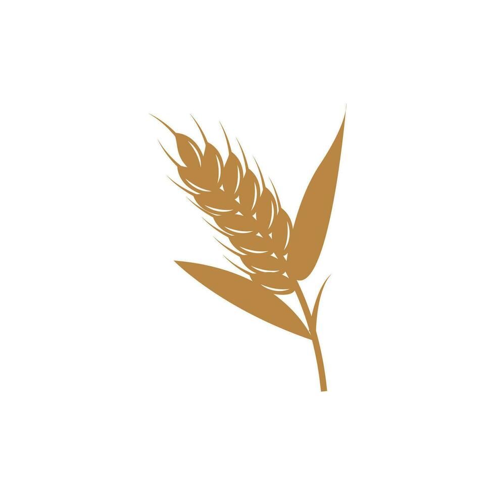 trigo logotipo, simples agricultor jardim projeto, vetor modelo silhueta ilustração
