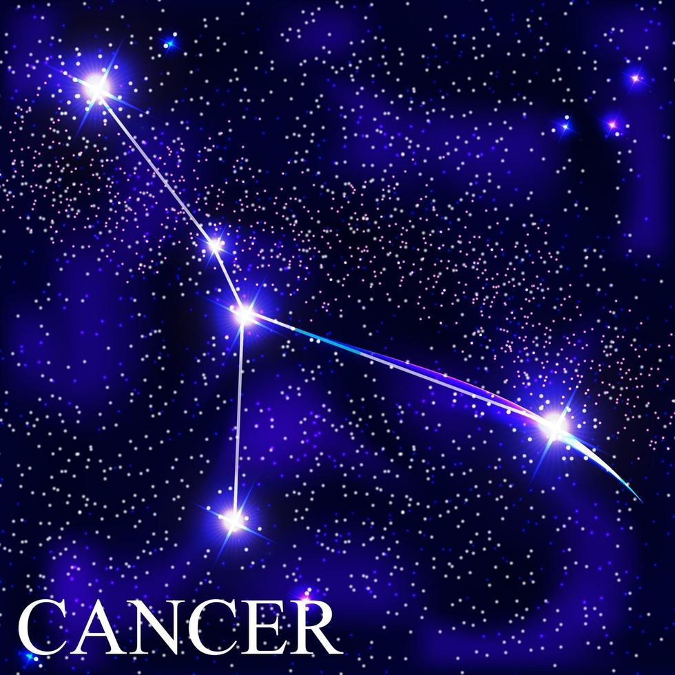 signo do zodíaco com lindas estrelas brilhantes no fundo da ilustração vetorial do céu cósmico vetor