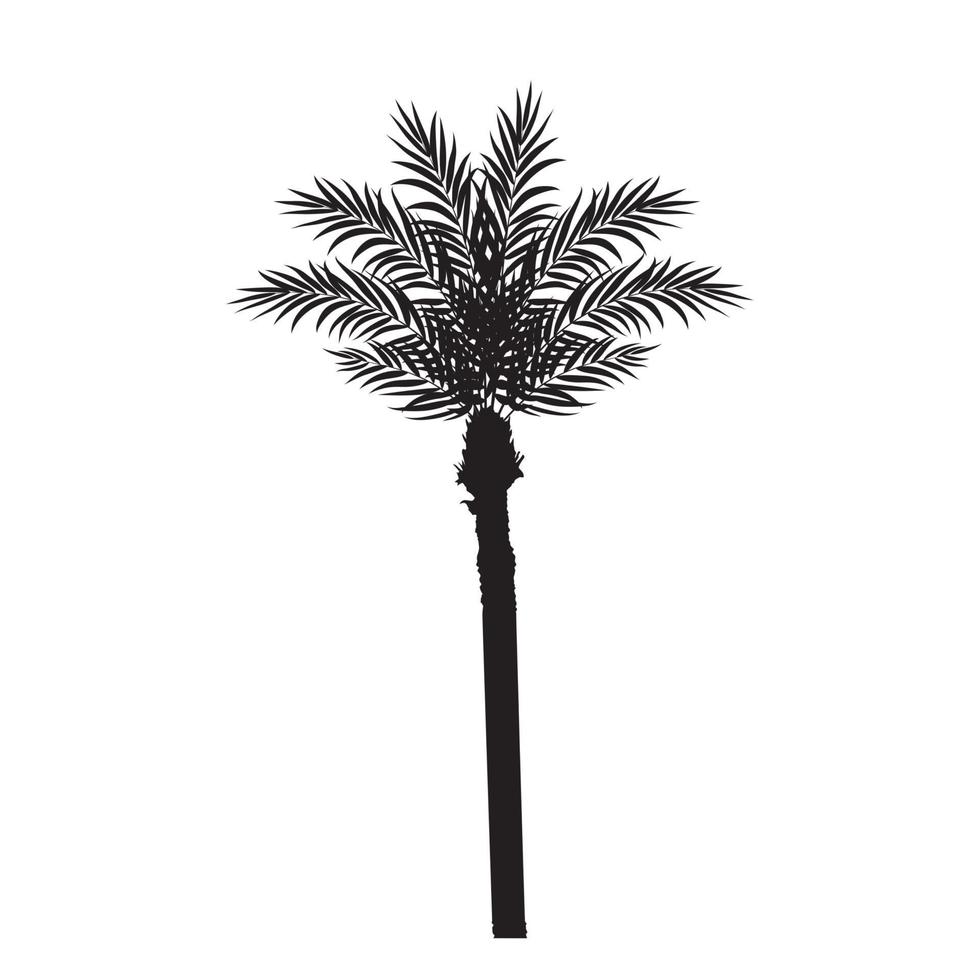 ilustração em vetor silhueta folha de palmeira linda