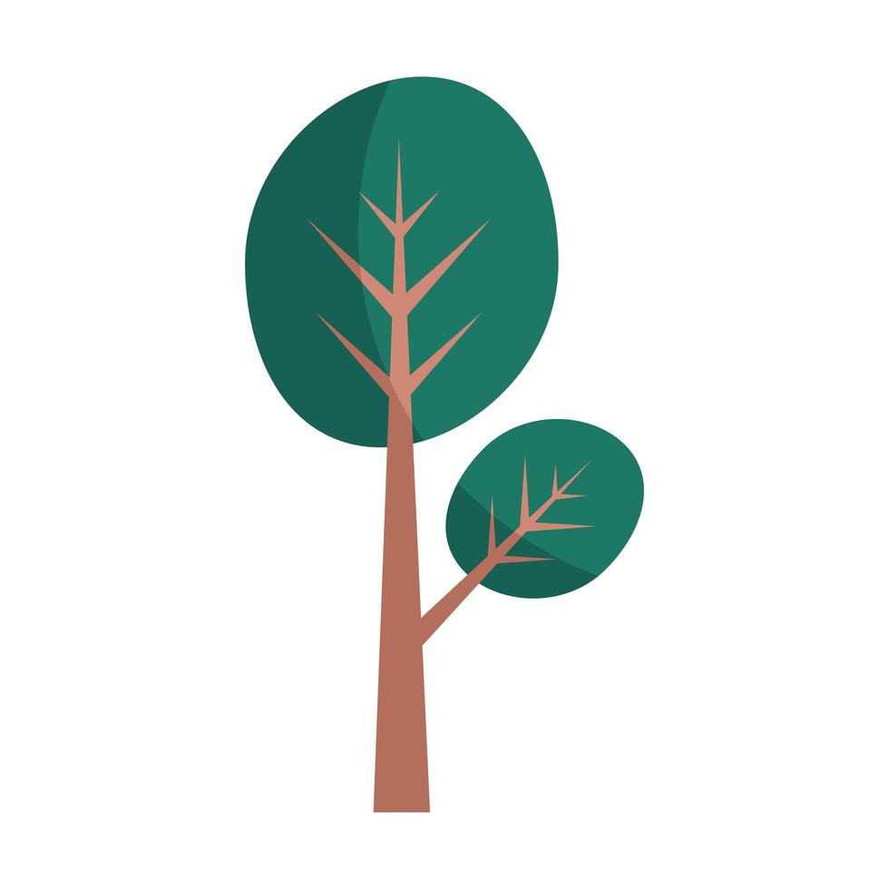 ícone isolado de planta de árvore vetor