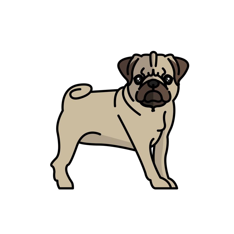 cão pug mascote da raça personagem vetor