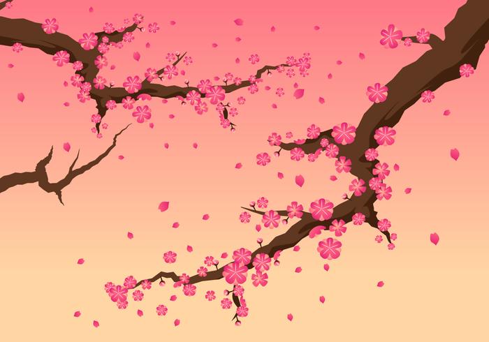 Vetores linda flor de cerejeira
