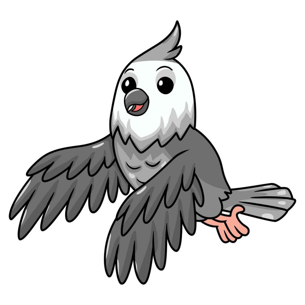 fofa rosto branco calopsita pássaro desenho animado vetor