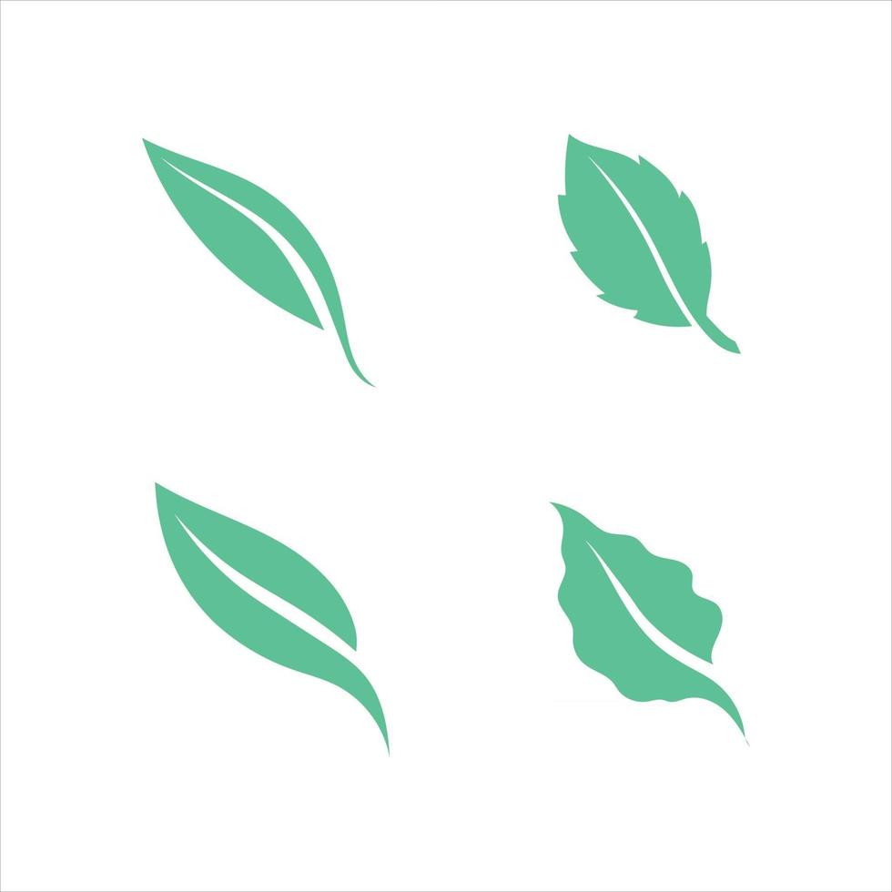 logotipos da natureza da ecologia de folha de árvore verde vetor