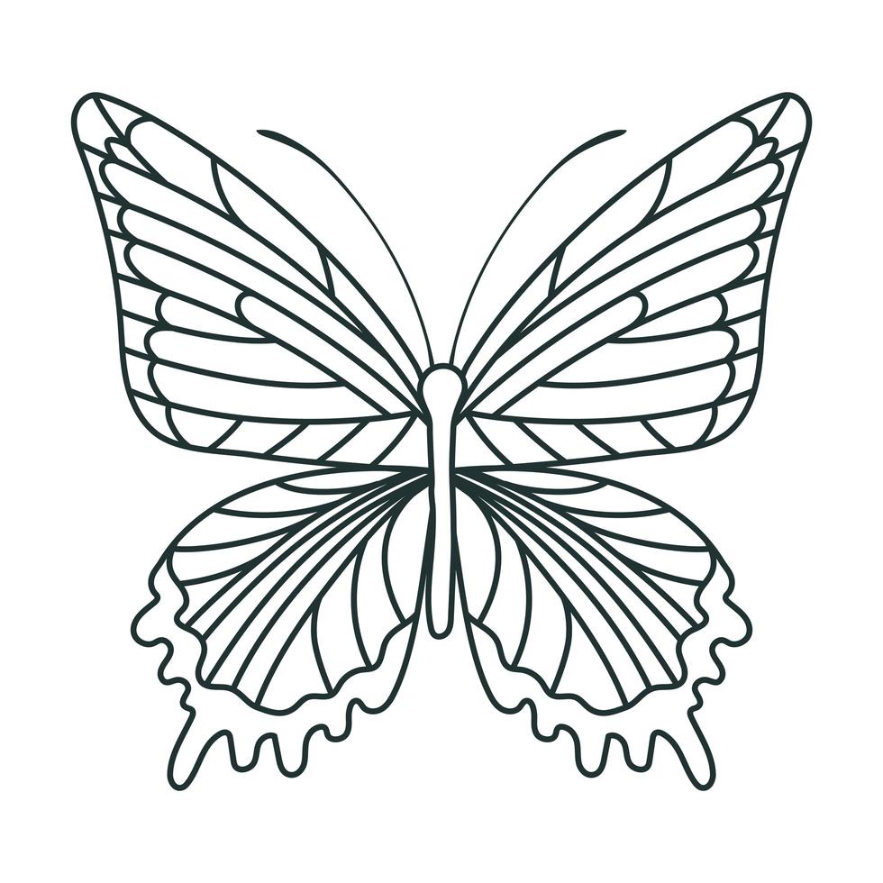 ícone de borboleta fofa vetor