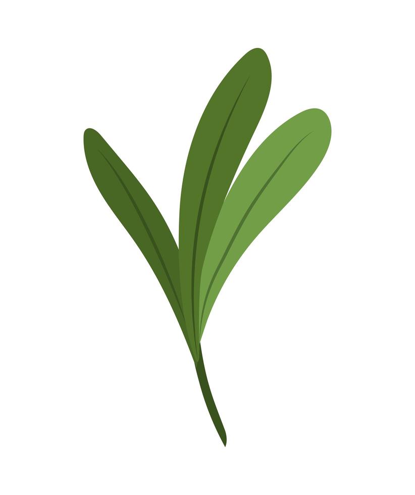 ícone de folhas verdes vetor