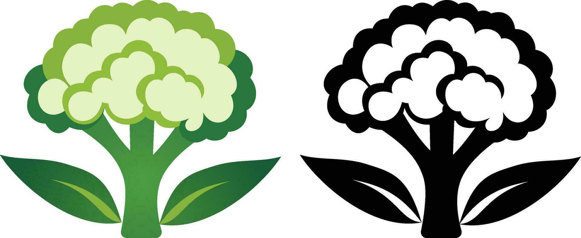 couve-flor logotipo modelo vetor ilustração , botrite, cavolfiore, Cavolo brócolis, cavolfiore, Cavolo fiore ícone , grampo artes estoque vetor imagem