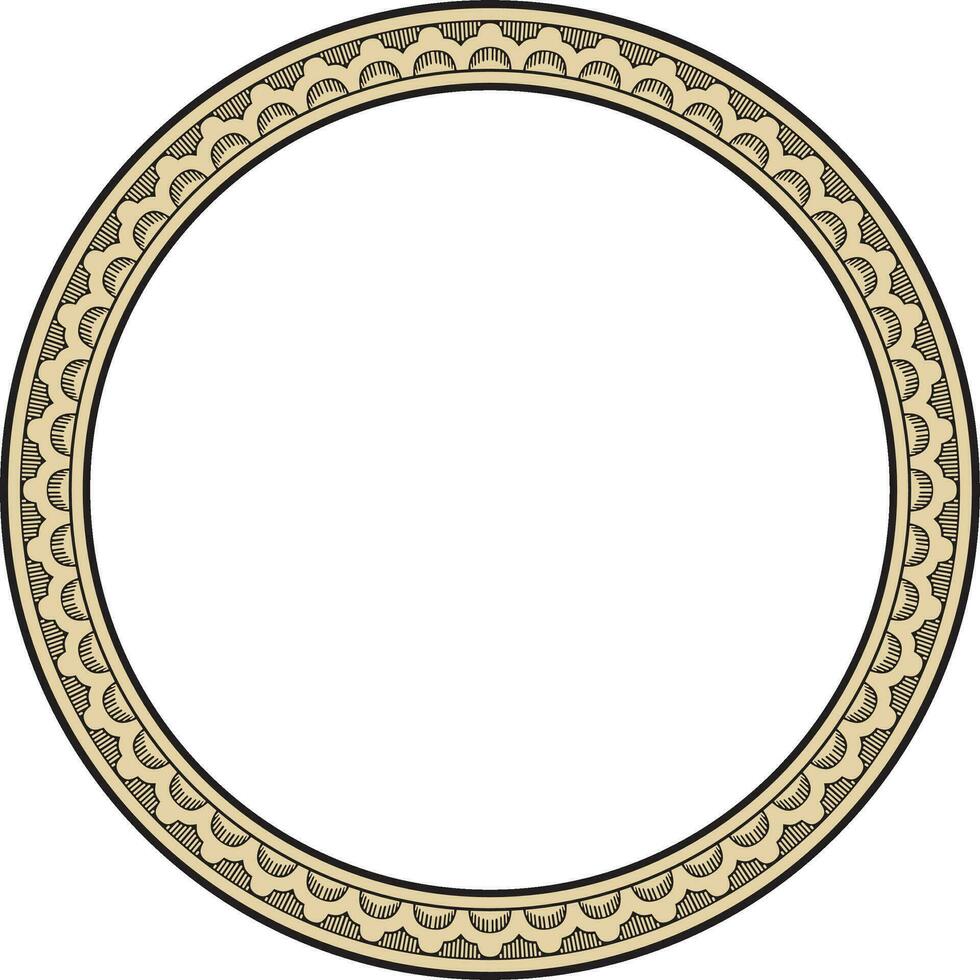 vetor volta ouro e Preto indiano nacional ornamento. étnico plantar círculo, fronteira. quadro, flor anel. papoilas e folhas