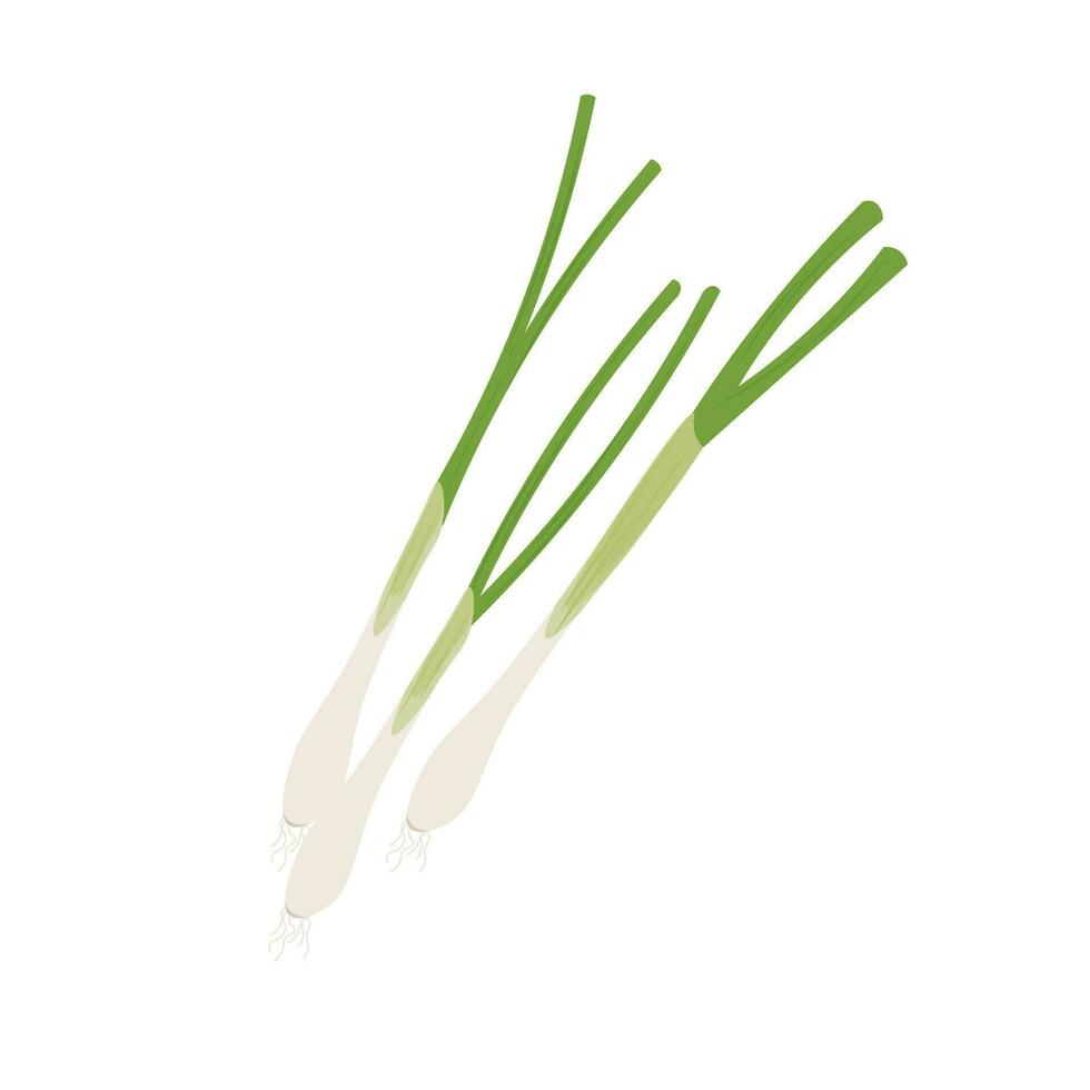 verde cebola ou Scallion realista vetor ilustração logotipo