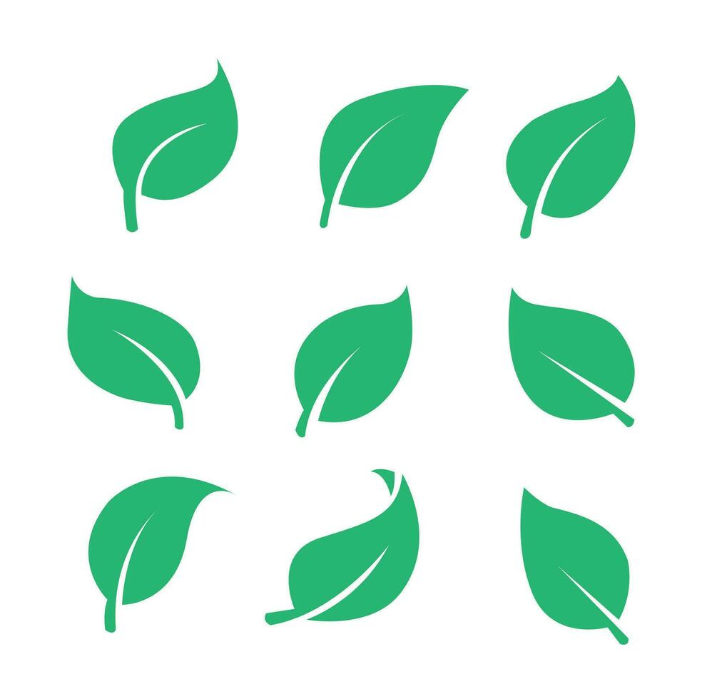 eco verde folha vetor logotipo plano ícone ilustração conjunto
