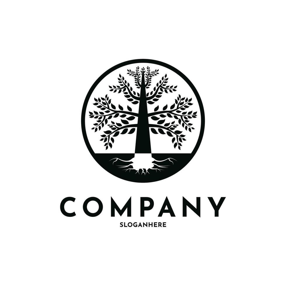 raiz folha família árvore do vida carvalho carimbo foca emblema rótulo logotipo Projeto vetor