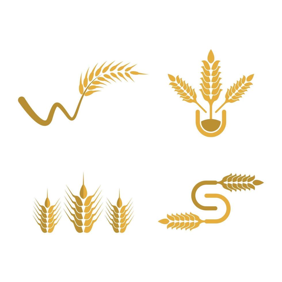 imagens do logotipo da wheat vetor