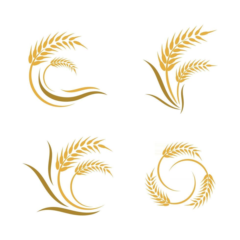 imagens do logotipo da wheat vetor