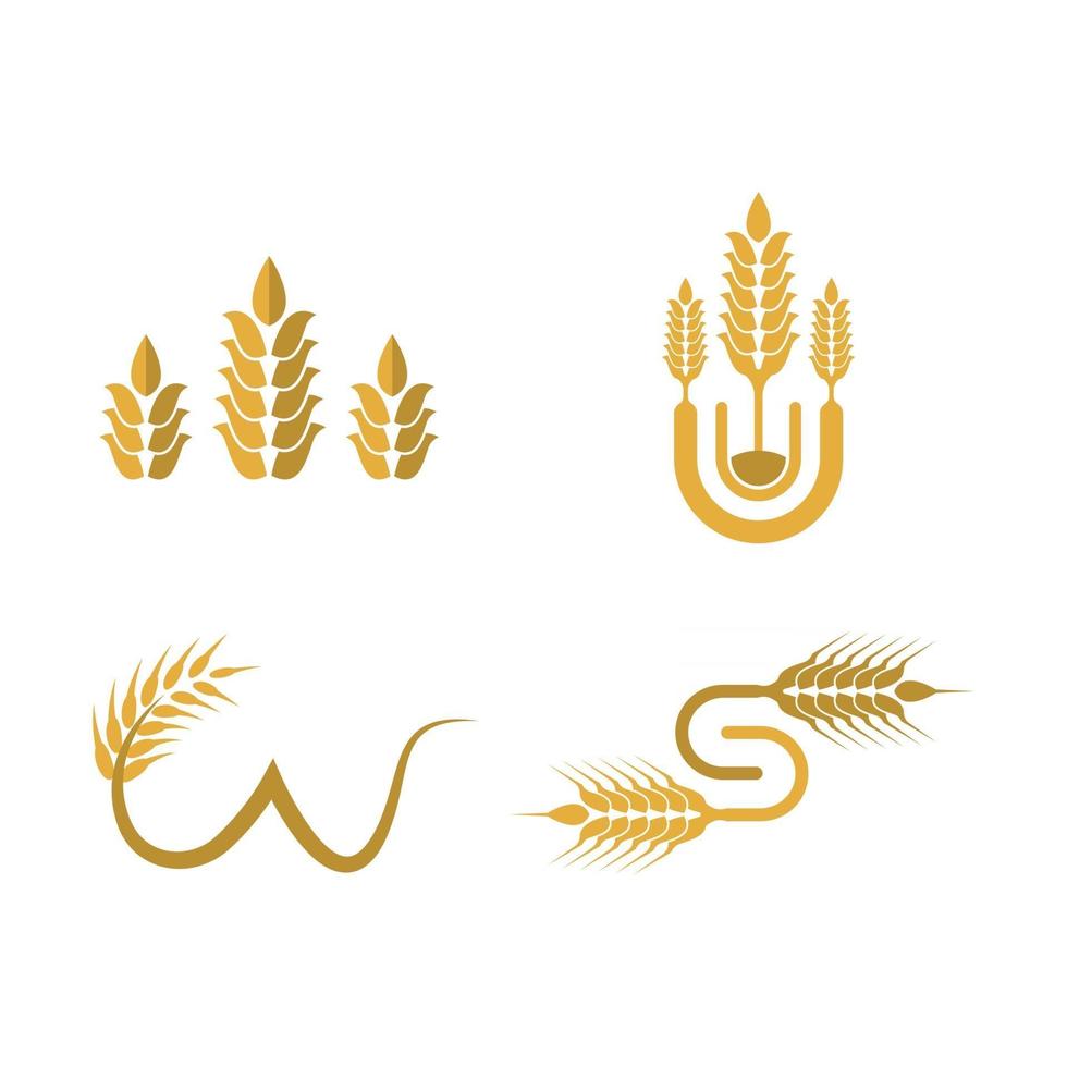 imagens do logotipo da wheat vetor