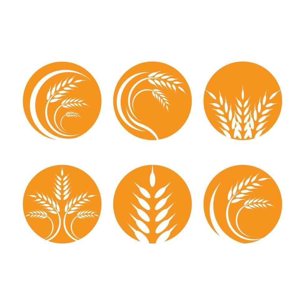 imagens do logotipo da wheat vetor